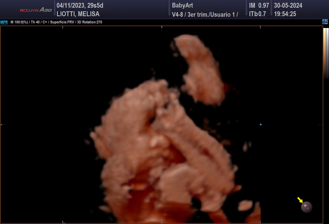 JULIA DE MELISA LIOTTI_0030.JPG